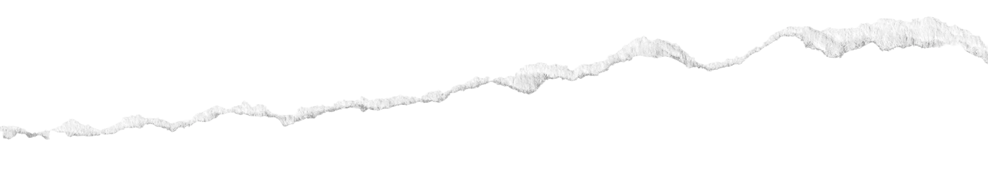 Footer Paper Torned Bottom